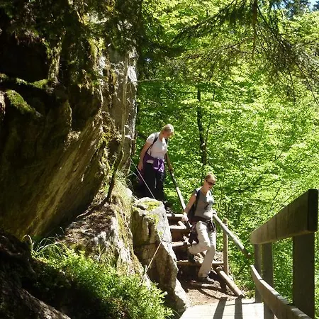 Schwarzwaldhof Nicklas