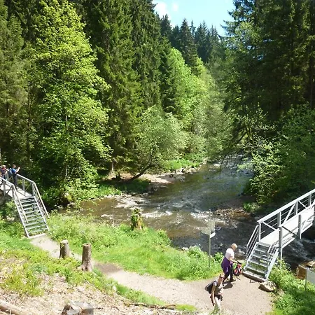 Schwarzwaldhof Nicklas Hotel Holzschlag