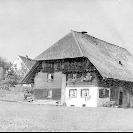 Hotel Schwarzwaldhof Nicklas Holzschlag