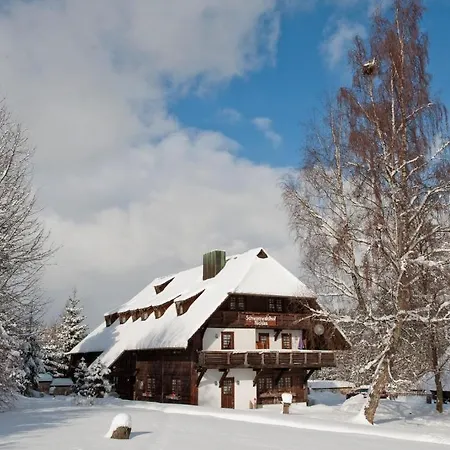 Hotel Schwarzwaldhof Nicklas 3*