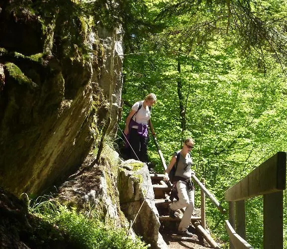 Schwarzwaldhof Nicklas