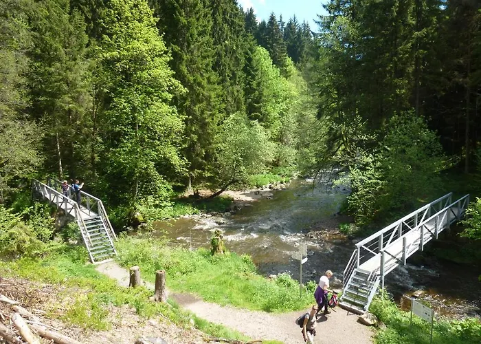 Schwarzwaldhof Nicklas Hotel Holzschlag