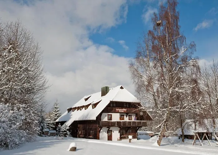 Hotel Schwarzwaldhof Nicklas 3*