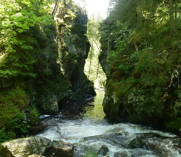 Schwarzwaldhof Nicklas Holzschlag